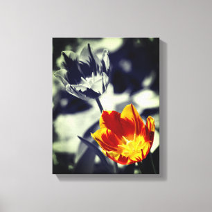 Toile Couleur partielle de la paire de fleur de tulipe f