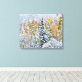 Toile Couleurs automnales des Aspens et du col Keebler (Insitu (Plancher de Bois))