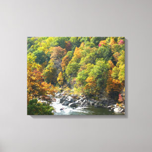 Toile Couleurs d'automne au parc d'État d'Ohiopyle