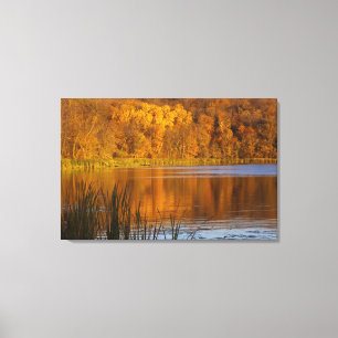 Toile Couleurs d'automne dans le parc d'état de Maplewo