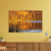 Toile Couleurs d'automne dans le parc d'état de Maplewoo (Insitu(Salon))