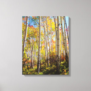 Toile Couleurs d'automne des arbres d'Aspen 5