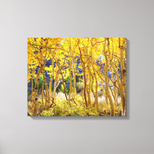 Toile Couleurs d'automne des arbres Trembles 3