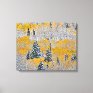 Toile Couleurs d'automne des Aspens et du col de la neig