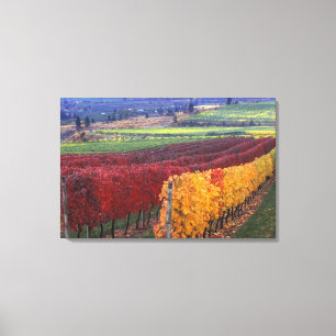 Toile Couleurs d'automne rouges et jaunes intenses sur G