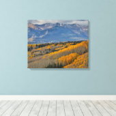 Toile Couleurs d'automne sur Aspen Groves (Insitu (Plancher de Bois))