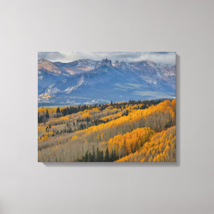 Toile Couleurs d'automne sur les bosquets de trembles
