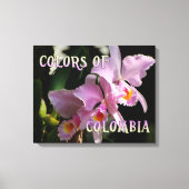 Toile Couleurs de la Colombie Cattleya Orchid (Recto)