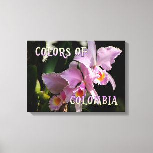 Toile Couleurs de la Colombie Cattleya Orchid