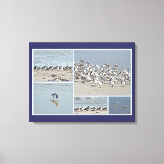 Toile Coup d'oeil sur le rivage (Recto)