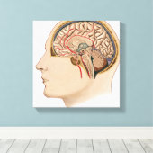 Toile Coupe De Cerveau Avec Artères (Insitu (Plancher de Bois))