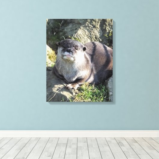 TOILE COUPER OTTER (Insitu (Plancher de Bois))