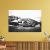 Toile Couper une baleine bleue en Alaska Photo (Insitu(Salon))