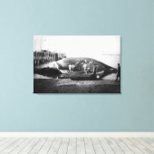 Toile Couper une baleine bleue en Alaska Photo (Insitu (Plancher de Bois))