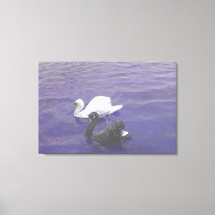 Toile Couple de cygne sur un lac