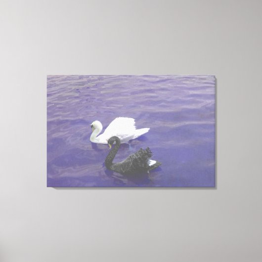 Toile Couple de cygne sur un lac (Recto)