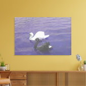 Toile Couple de cygne sur un lac (Insitu(Salon))