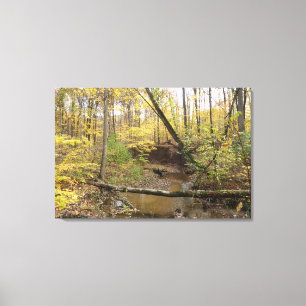 Toile Courant de forêt d'automne