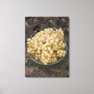 Toile Courants blancs Bio Du Jardin