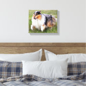 Toile Courir Blue Merle Collie (Insitu(Chambre))