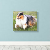 Toile Courir Blue Merle Collie (Insitu (Plancher de Bois))