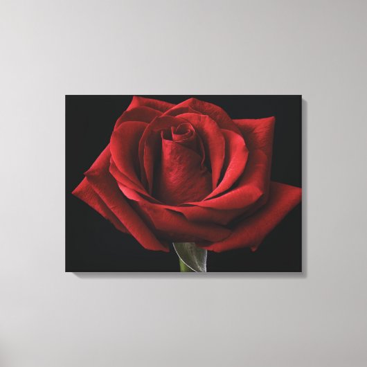 Toile Coussin de jet rouge rose (Recto)