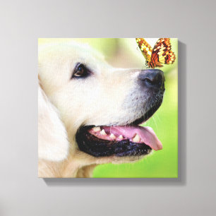 Toile Coussin décoratif Labrador et papillon