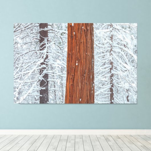 Toile Couvert (Insitu (Plancher de Bois))