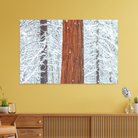 Toile Couvert (Insitu(Salon))