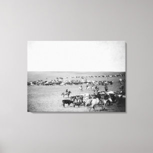 Toile Cowboys avec des bétail sur la photographie de