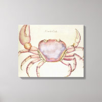 Crabe terrestre