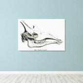 Toile Crâne d'une girafe (Insitu (Plancher de Bois))