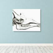 Toile Crâne d'une girafe (Insitu (Plancher de Bois))