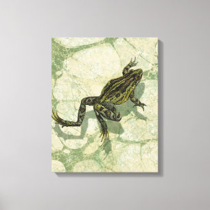 Toile Crapaud Swinning dans l'eau