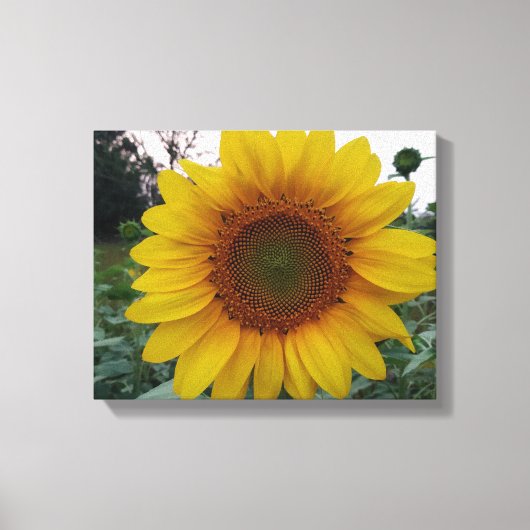 Toile Create Your Own Canvas Wall Art with Custom Photo (Recto)