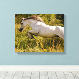Toile Créez Votre Propre Photo Équestre De Cheval Person