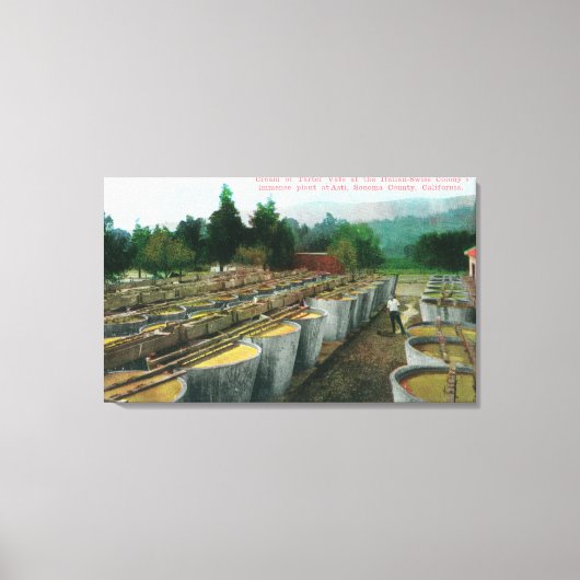 Toile Crème de Tartar Vats Vue à Colon Italien-Suisse (Recto)