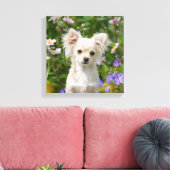Toile Crème mignonne Chihuahua Chien Chiot Photo - Envel (Insitu(Salon))