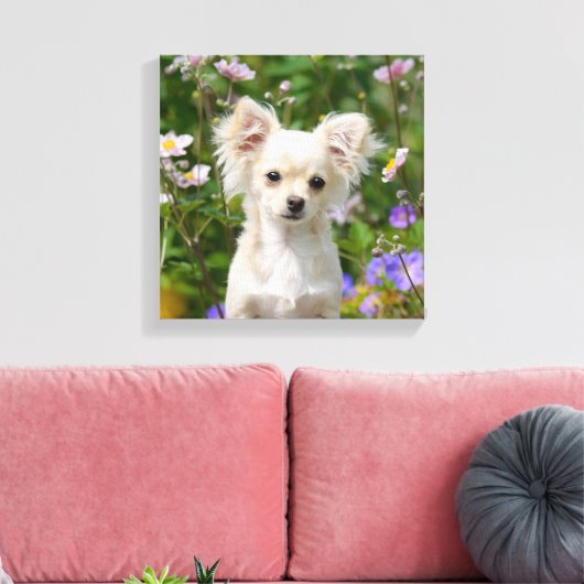 Toile Crème mignonne Chihuahua Chien Chiot Photo - Envel (Insitu(Salon))