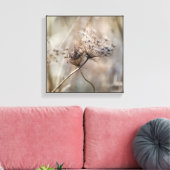 Toile Crisscross séché dentelle de la reine Anne couleur (Insitu(Salon))