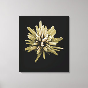 Toile Cristal détergent