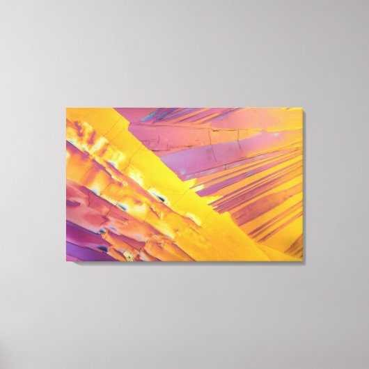 Toile Cristaux acides oxaliques (Recto)