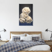 Toile Cristaux de barite avec Gypsum, Norman, Oklahoma,  (Insitu(Chambre))