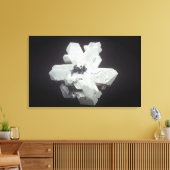 Toile cristaux de cérussite (PbC03, Carbonate de plomb), (Insitu(Salon))