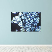 Toile Cristaux de cholestérol vus dans la lumière polari (Insitu (Plancher de Bois))