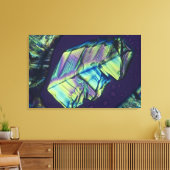 Toile cristaux de progestérone (Insitu(Salon))