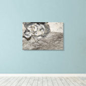 Toile Cristaux de quartz appelées diamants Herkimer (Insitu (Plancher de Bois))