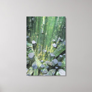 Toile Cristaux d'Elbaite de Tourmaline sur le quartz