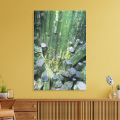 Toile cristaux Elbaite de Tourmaline sur Quartz (Insitu(Salon))