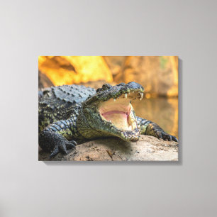 Toile Crocodile bouche ouverte